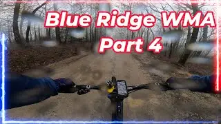 Blue Ridge WMA Gravel Ride | The Fast Descent | Part 4