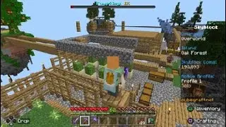 CubeCraft Skyblock 10
