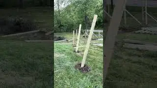 Update on the dog yard.