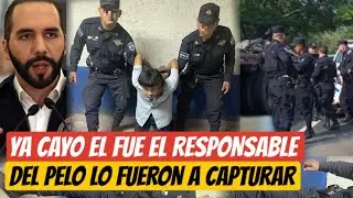 YA CAYO EL FUE DEL PELO LO CAPTURÄRON LE QUITO LA EXISTENCIA