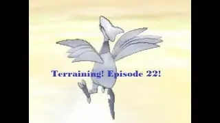 Terraining! Episode 22 - ...Is that a Skarmory?