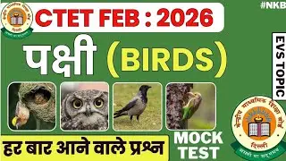 CTET 08 FEB | NCERT EVS : पक्षी (BIRDS) Mock Test | Ctet Most Important Questions @LetsLEARN2016 