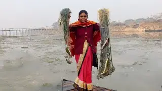 River Fishing by Net & Cooking Recipe / নদীর জ্যান্ত মাছ ধরে দুর্দান্ত স্বাদের রান্না না দেখলে আপসোস