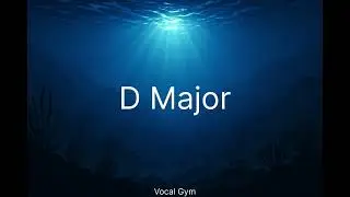 D Major Pad