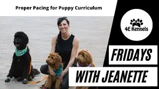 Proper Pacing for Puppy Curriculum