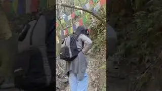  Shivapuri Peak hike 🌿 Peace, paths, and pure mountain air🫶