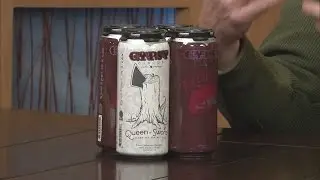 Gypsy Circus Cider - Now Available at Food City