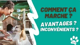 DEVENIR FAMILLE D'ACCUEIL POUR CHIEN ET CHAT : TOUT SAVOIR !