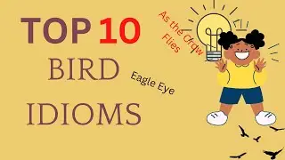 Top 10 Bird idioms that English learners must learn! #english