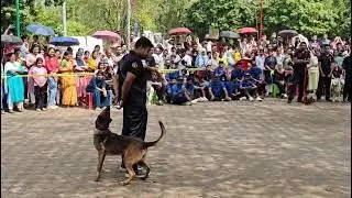 #keralapolice #dogsquad #calicutuniversity #biologytutor #dog #dogs #usa #kerala #india #uae #china 