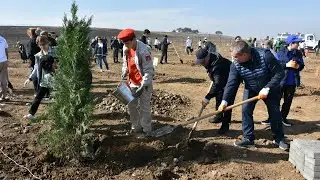 В Дербентском районе высадили 200 саженцев в Саду памяти