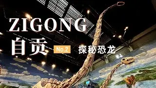【自贡旅行02】全球收藏侏罗纪恐龙化石最多的地方！世界三大恐龙博物馆之一！自贡恐龙博物馆 | 走遍中国旅行vlog | 四川自贡