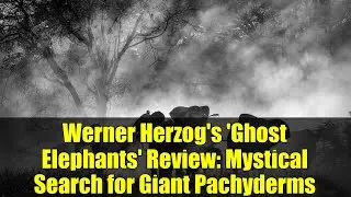 Werner Herzog's 'Ghost Elephants' Review: Mystical Search for Giant Pachyderms