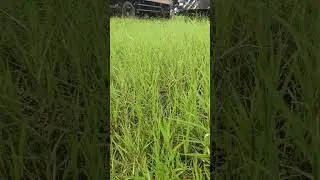4K VIDEO IMAGE YOU
