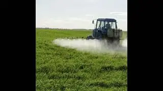 How nematodes can help reduce pesticide use