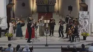 Ostinato Festival Orchestra I Mozart - Serenade in G-Dur (Eine kleine Nachtmusik) - 1. Satz