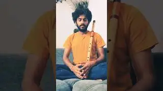 D Natural Base Bansuri | Sound Demo | #bassflute #flute #learnflute #bansuri