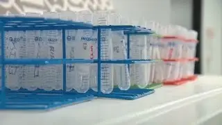 Prosecutors writing to inmates about DNA evidence manipulation