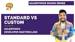 Standard vs Custom - Nomenclature | Chapter 9 | Salesforce Developer Masterclass