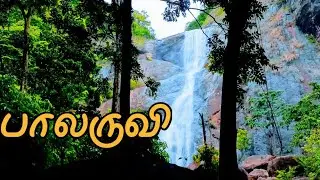 Palaruvi Waterfalls in tamil | பாலருவி | Kerala tourist places in tamil | Thenmala Palaruvi | Kollam
