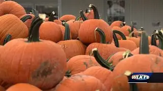 Plenty of Fall fun at Hubers Winery and Orchard