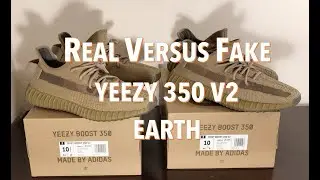 FlightKickz Yeezy 350 V2 Earth Review + On-Foot