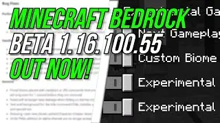 Minecraft Bedrock BETA 1.16.100.55 OUT NOW! - New UI Settings - Change Log - MCPE / Xbox / Windows ✅