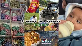 VLOG- took a quick trip home 🇵🇰🇵🇰