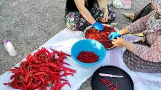 Kışlık pul biberimizi yaptık 