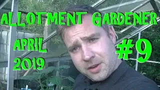 Allotment Garden 2019 #9 - Easter on the plot - An Allotment Diary