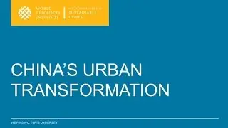 China's Urban Transformation - Weiping Wu