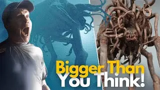 Behemoth Mythology | What is its ORIGIN? The Mist by Stephen King