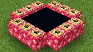 wither skeleton portal or pink portal