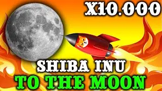 SUPER NEWS FOR SHIBA INU - SHIB TO THE MOON IS HERE