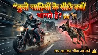 Kutta gadi ke piche kyu bhagta hai | Dog chasing cars meaning | Why street dogs run behind cars