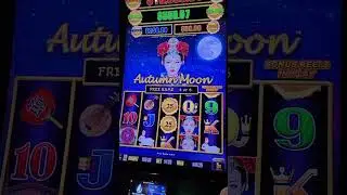 $1.25 bet #slot #casino #gaming #gambling #viral #viralvideo #slots ##jackpot #win #winning #shorts 