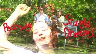 stupid dreams - peartwig