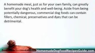 Dog Food Recipes for Senior Dogs