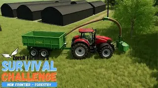 Big field is done! New Carpentry | Farming Simulator 25 New Frontier [Part 37]