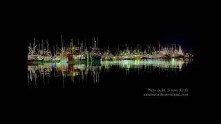 Digby at Night