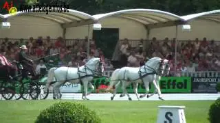 Zoltan Lazar - DRESSAGE - WFC RIESENBECK 2012