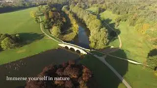 Autumn days out at Blenheim Palace