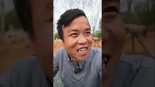 为了不洗碗南瓜也是拼了 #mukbang #food #cooking