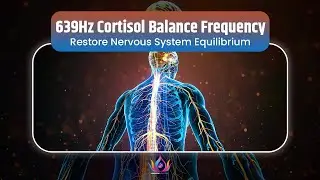 639Hz Cortisol Balance Frequency | Reduce Stress Hormones & Restore Nervous System Equilibrium
