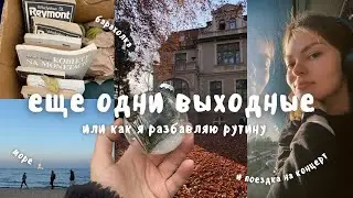 Vlog 25 / самая красивая осень, Сопот и песики