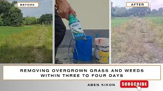 HIJACK SPRAY IN ACTION: REMOVING OVERGROWN GRASS & WEEDS FROM MY FOOTPATH 