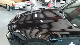 2013 Ford Mustang V6: Black Car Paint Care: Ceramic Serum Coat: #GodGivenTalent #AutoMagic #Mirror