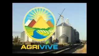 Purchase Bulk Wheat Flour for Export, Wheat Flour Exporting, Wheat Flour Exporters, Wheat Flour