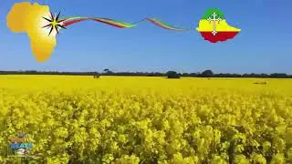 #ethiopia#new year#new wish
