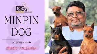 MINPIN DOG